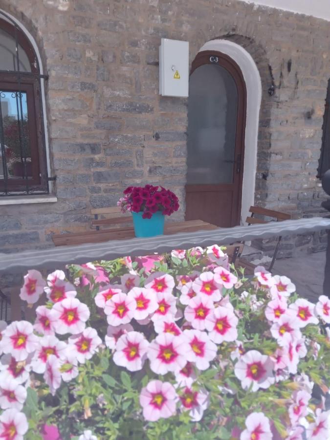 Dolphin Residences Coleus 3 Appartement *